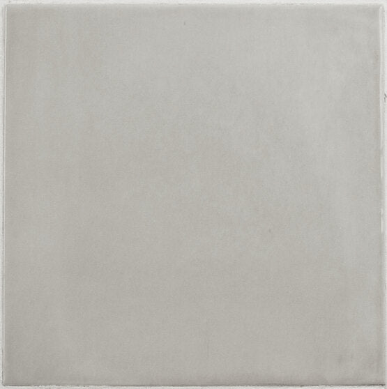 FAYENZA GREY 12,3X12,3