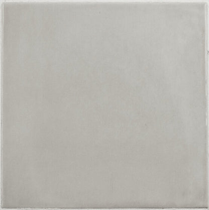 FAYENZA GREY 12,3X12,3